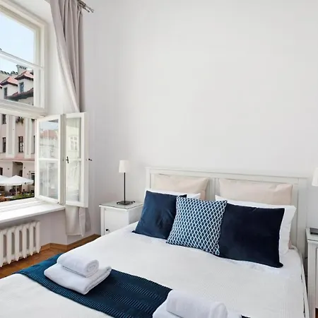 Spacious Apartment in Krakow Old Town *