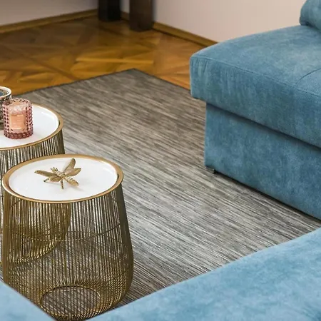 Spacious Apartment in Krakow Old Town Kraków